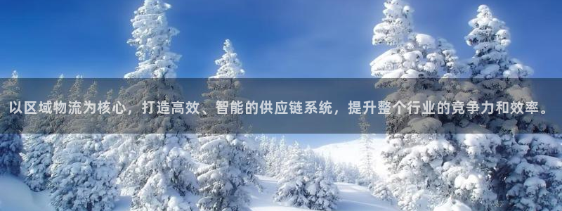 狗子28如何看计划：以区域物流为核心