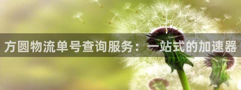 狗子28如何看计划：方圆物流单号查询