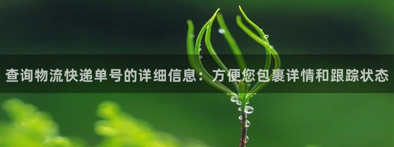 狗子28图片