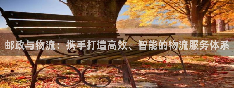 狗子28的自行车：邮政与物流：携手打