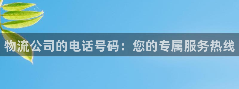 自行车狗子28是什么意思