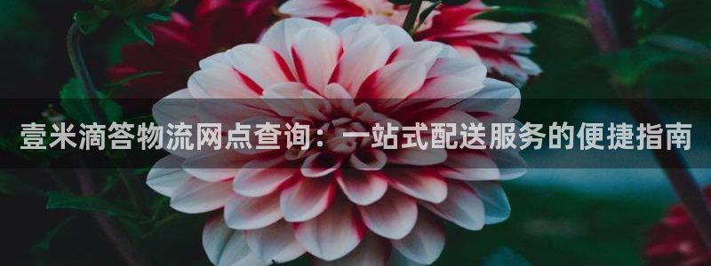狗子28退款：壹米滴答物流网点查询：