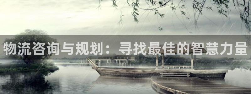 狗子28注册登录链接：物流咨询与规划：寻找最佳的智慧力量