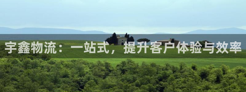 狗子28官网入口pcios：宇鑫物流：一站式，提升客户体验与