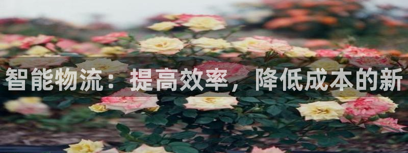 狗子28如何注销账号