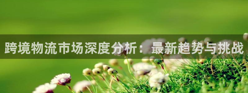 狗子28注册链接入口：跨境物流市场深