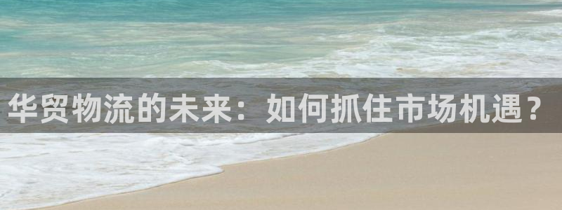 狗子28初始资金密码在哪里改：华贸物