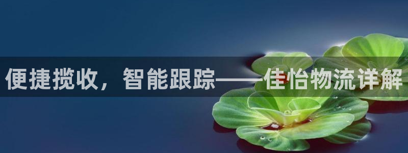狗子28退款教程：便捷揽收，智能跟踪