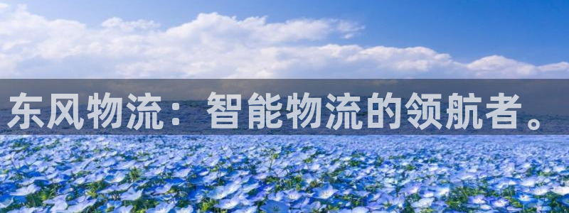 狗子28那个才是充值账号：东风物流：