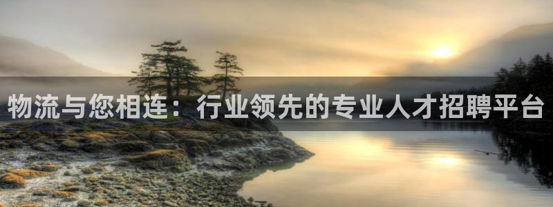 狗子28充值不处理会怎么样：物流与您相连：行业领先的专业人才
