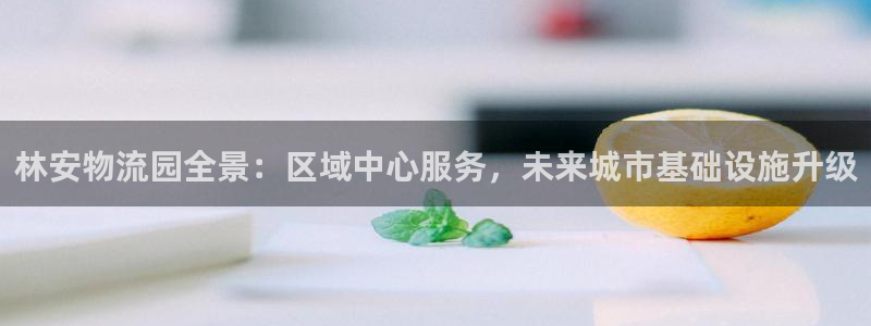 狗子28龙虎：林安物流园全景：区域中