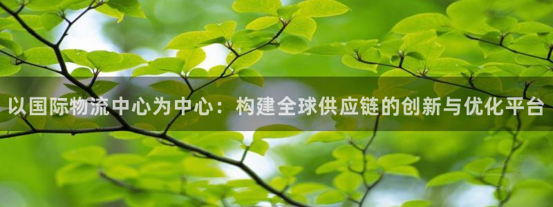 狗子28官网入口pc28：以国际物流