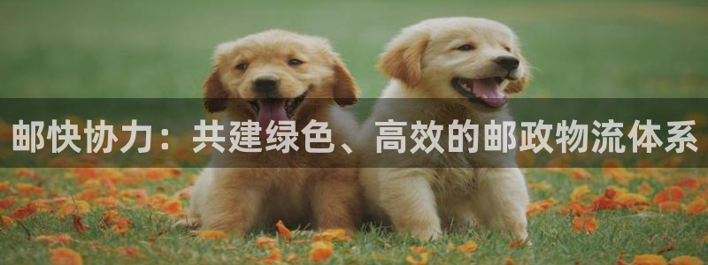 狗子28链官网：邮快协力：共建绿色、