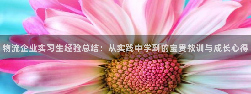 狗子28PG电子游戏：物流企业实习生