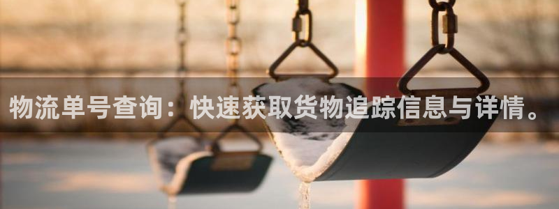 狗子28官网链接：物流单号查询：快速