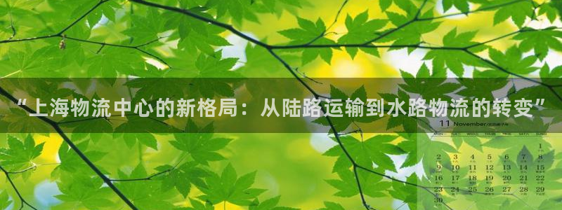 狗子28体育下载：“上海物流中心的新