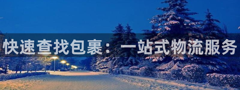 狗子28官网下载多少钱：快速查找包裹