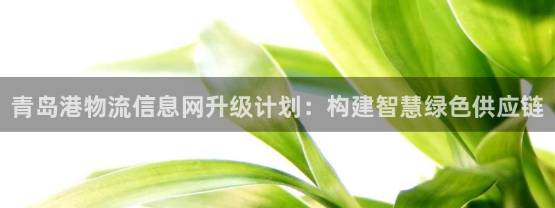 南宫狗子28官网：青岛港物流信息网升级计划：构建智慧绿色供应