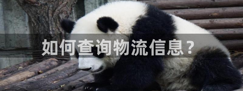 狗子28加拿大预测：如何查询物流信息