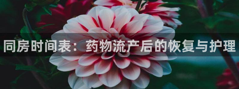 狗子28二维码：同房时间表：药物流产