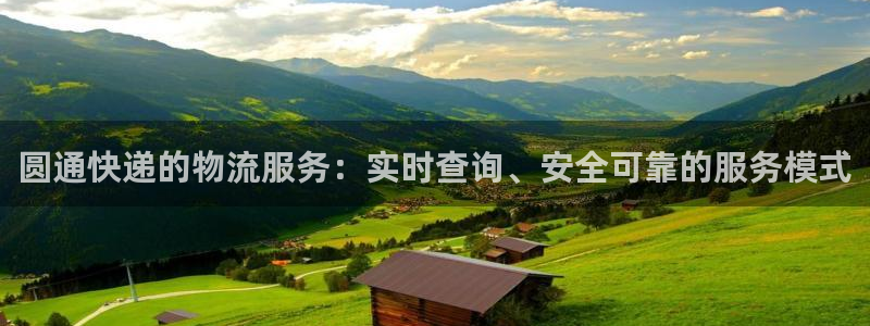 狗子28防失联网址：圆通快递的物流服