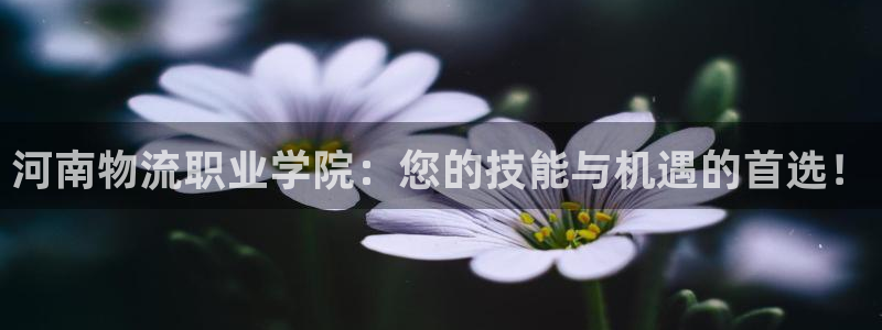 狗子28aPP退款：河南物流职业学院：您的技能与机遇的首选！