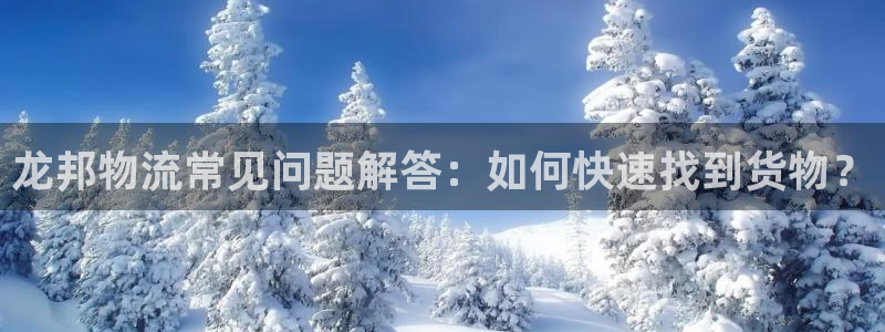 狗子28官网入口pc预测：龙邦物流常