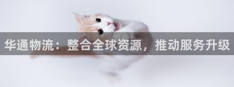 狗子28官网下载链接是什么：华通物流：整合全球资源，推动服务