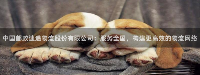 狗子28加拿大app预测