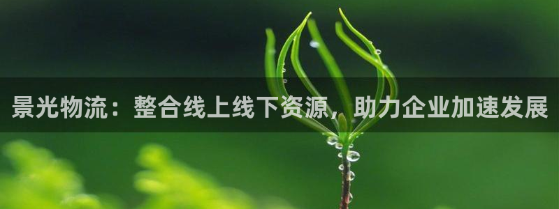 狗子28比特28预测在线预测
