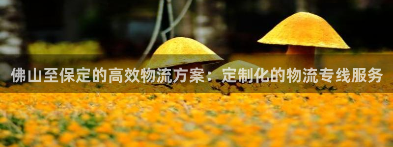 狗子28网站平台：佛山至保定的高效物