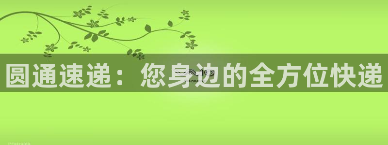 狗子28的平台