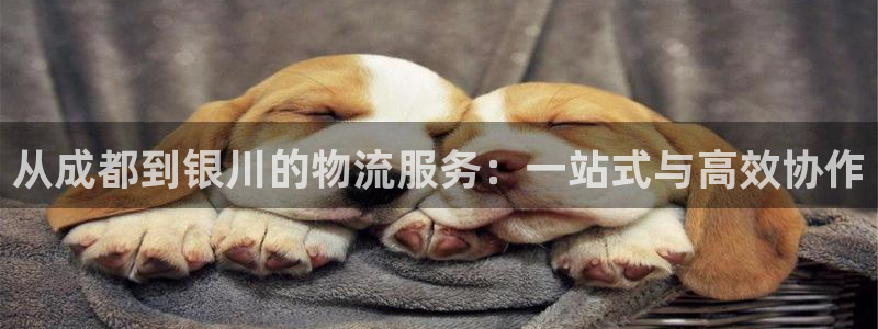 狗子28怎么注册账号和密码：从成都到