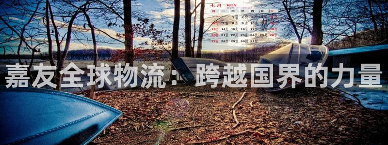 狗子28合法吗：嘉友全球物流：跨越国