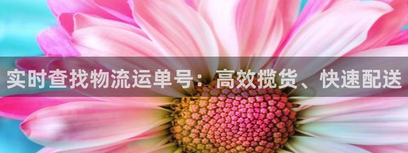 狗子28游戏官网版：实时查找物流运单
