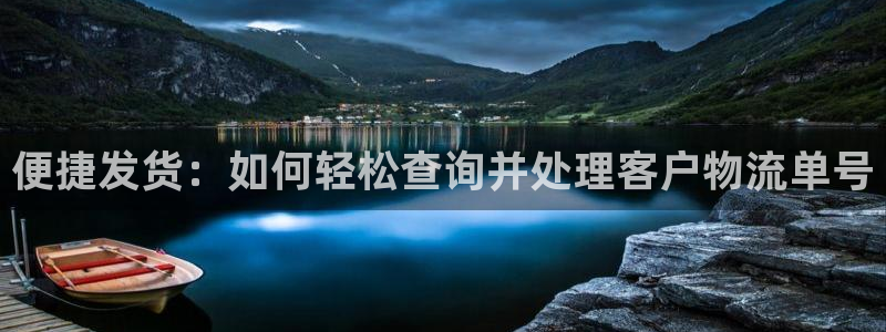 狗子28网站怎么注册：便捷发货：如何