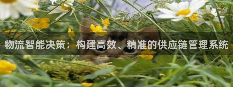 狗子28是干嘛的