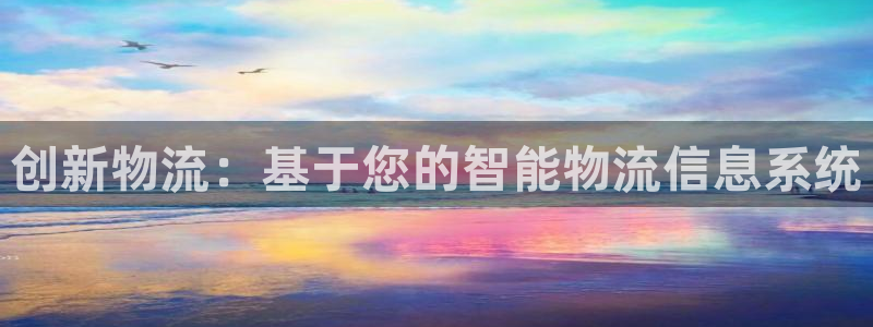 狗子28官网平台下载：创新物流：基于您的智能物流信息系统