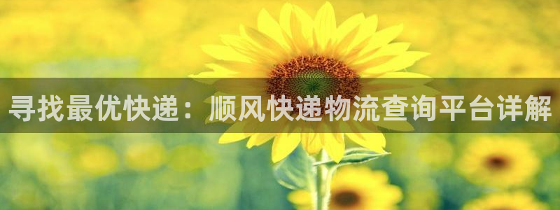 狗子28怎么注册下载:寻找最优快递: