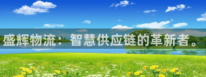 狗子28加拿大走势:盛辉物流:智慧供