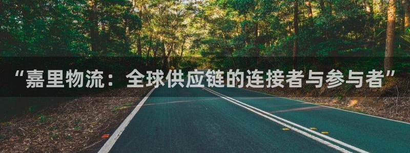 狗子28加拿大pc预测：“嘉里物流：全球供应链的连接者与参与