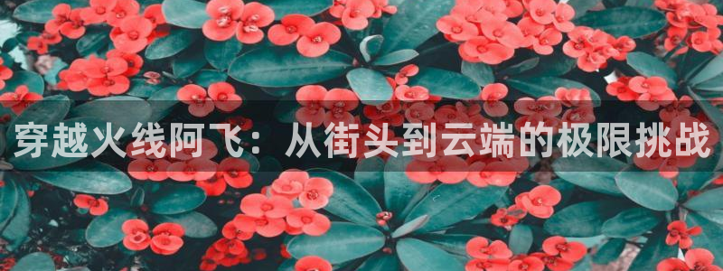 看球吧免费直播：穿越火线阿飞：从街头到云端的极限挑战
