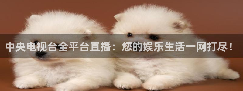 360免费直播超清 看球吧：中央电视台全平台直播：您的娱乐生活一网打尽！