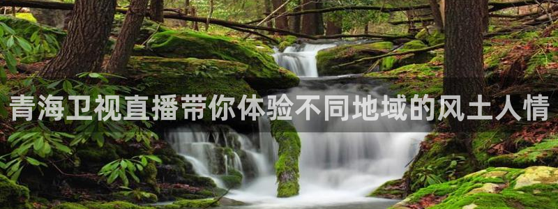 体育直播看球吧：青海卫视直播带你体验不同地域的风土人情