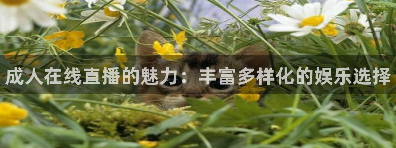 鲨鱼直播nba在线看球吧：成人在线直播的魅力：丰富多样化的娱乐选择