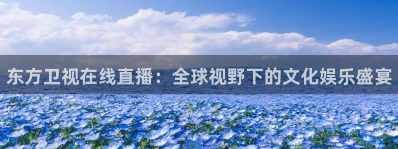 886直播看球吧：东方卫视在线直播：全球视野下的文化娱乐盛宴