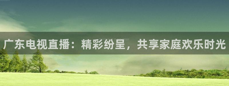 直播看球吧：广东电视直播：精彩纷呈，共享家庭欢乐时光